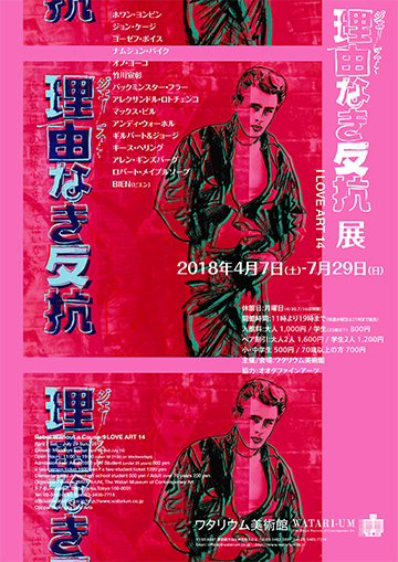 竹川宣彰 Takekawa Nobuaki Rebel Without a Cause ワタリウム美術館